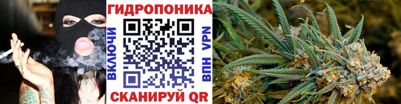 Где найти наркотики Городовиковск Кокаин  Метадон  Каннабис  ГАШ 