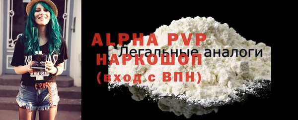 винт Богданович