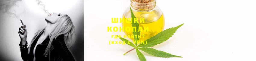 прущие грибы Соликамск