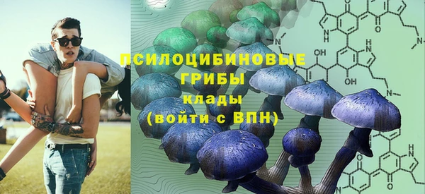 винт Богданович
