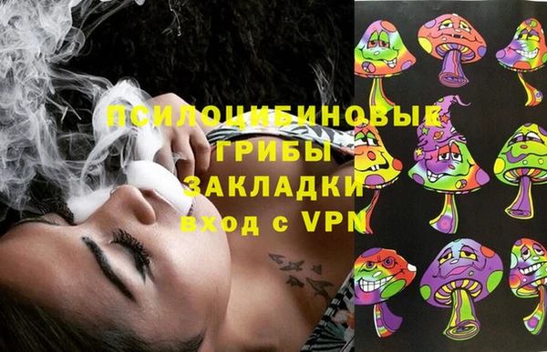 MDMA Богородицк