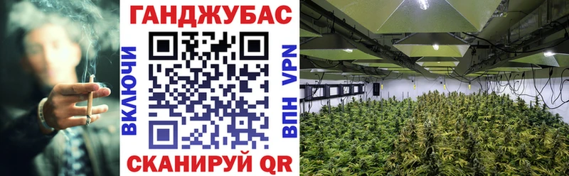 наркотики  Городовиковск  Канабис Ganja 